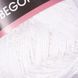 Begonia 003