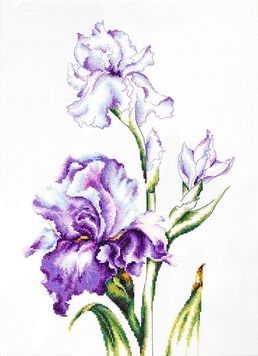 Іриси Luca-S B2251 набір для вишивки хрестиком на Aida 16 24x38 cm
