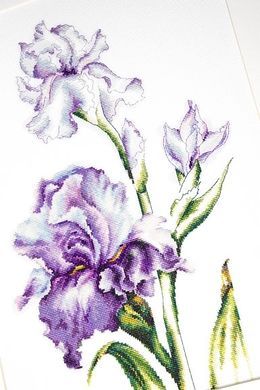 Ирисы Luca-S B2251 набор для вышивки крестиком на Aida 16 24x38 cm
